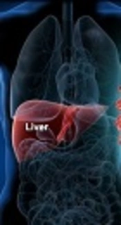 Correlation of Quantitative Assay of HBsAg and Hepatitis B Virus DNA Levels Among Chronic HBV Patients Attending Pathologist Lancet Laboratory in Nairobi, Kenya