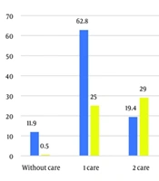 Anemia in Pregnancy: A Cross-Sectional Study in Southwest Iran