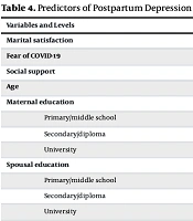 Predictors of Postpartum Depression During the COVID-19 Pandemic