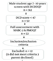 Improving Fundamental Motor Skills Through Gamification: Evidence from Children with Developmental Coordination Disorder