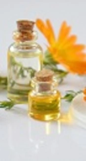 Chemical Composition and Antimicrobial Activity of <i>Fraxinus excelsior</i> L. Seeds Essential Oil