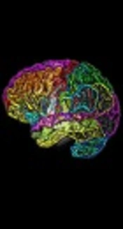 Abnormal High Signal Intensity Discovered in Eye Lenses in Routine Brain MRI; Correlation with Ophthalmologist Examination