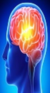 Herpes Simplex Virus Type 1 Encephalitis: A Descriptive, Cross Sectional Study, 2011 - 2016, Iran