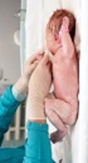 Reference Curves of Birth Weight, Length, and Head Circumference for Gestational Age in Iranian Singleton Births