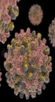 Prevalence and Risk Factors for Occult Hepatitis B and HIV Infections Among HCV Infected Intravenous Drug Users, Tehran, Iran