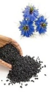 Lipid Lowering Effects of <i>Nigella sativa</i> and Swimming Training in Streptozotocin Induced Diabetic Rats