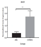International Journal of Cancer Management