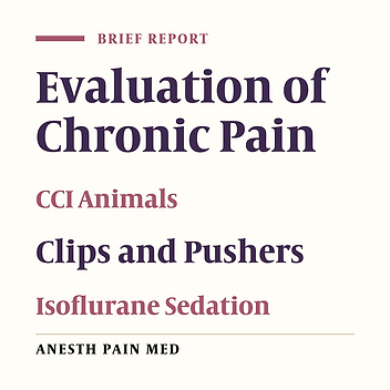 A Pusher and a Clip Applied to Hind Paws Under Isoflurane Sedation to Evaluate Neuropathic Pain in a CCI Model