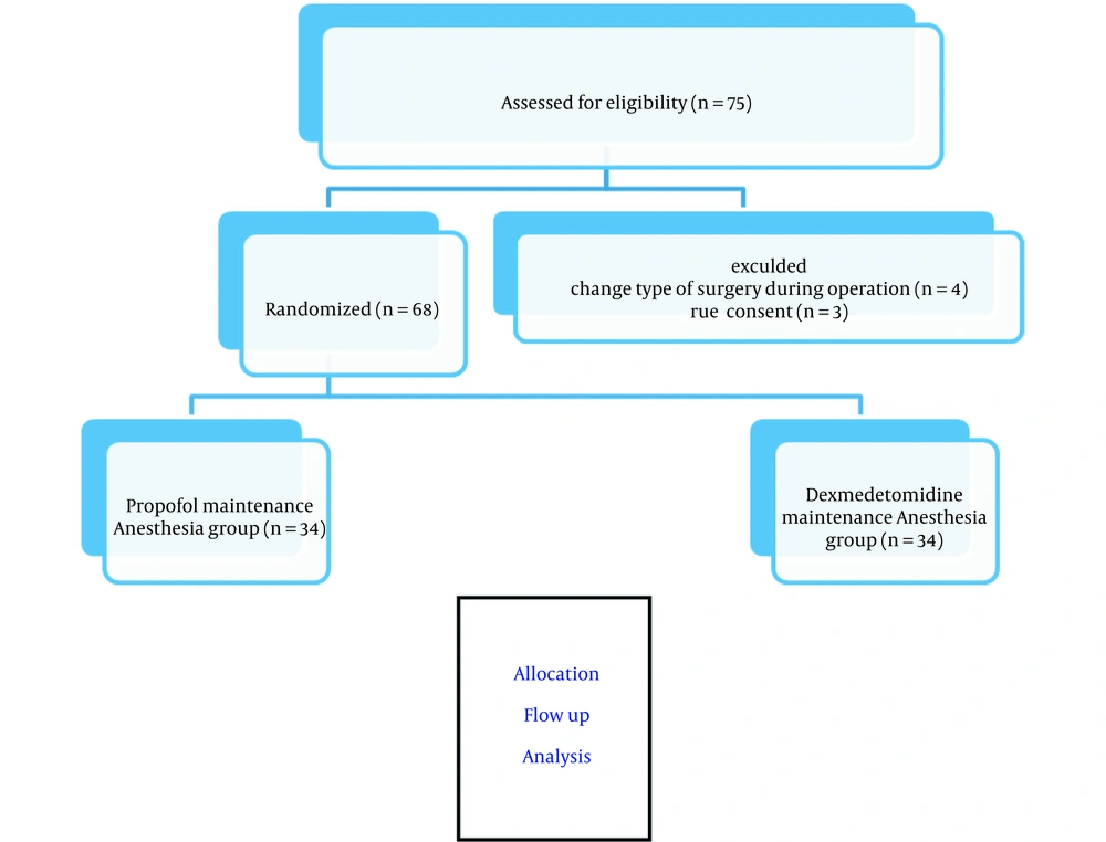 Consort flow chart of study Consort flow chart of study