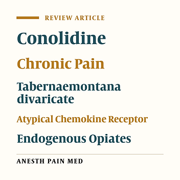 Conolidine: A Novel Plant Extract for Chronic Pain