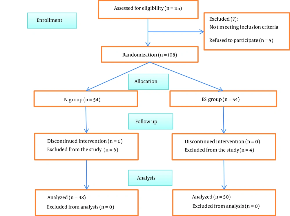 The CONSORT flow chart (abbreviations: ES group, erector spinae plan block group; N group, no block group). The CONSORT flow chart (abbreviations: ES group, erector spinae plan block group; N group, no block group).