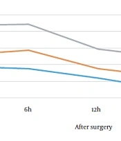 Effectiveness of Topical Ketorolac in Post-hemorrhoidectomy Pain Management: A Clinical Trial