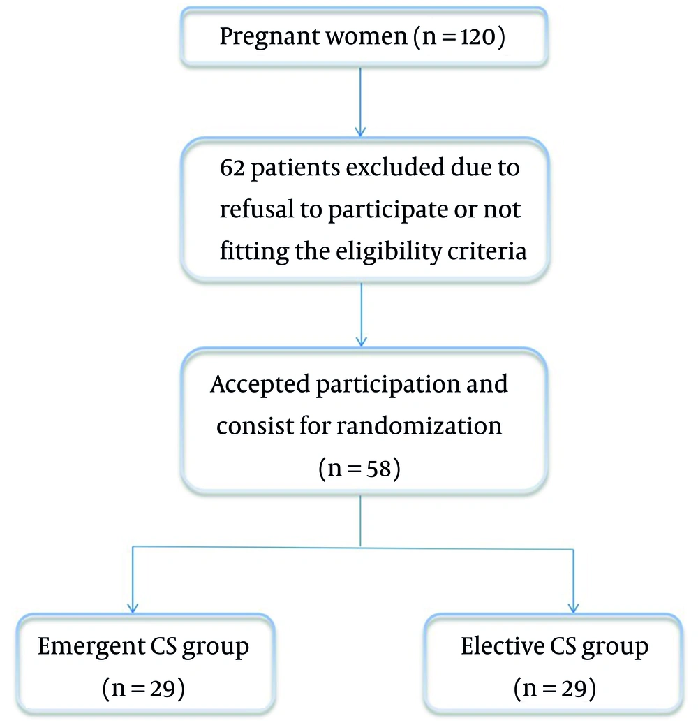 Flow chart of patients’ selection across the study Flow chart of patients’ selection across the study
