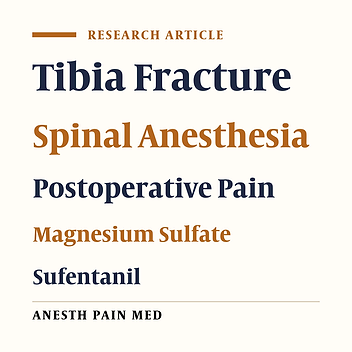 The Effect of Intravenous Magnesium Sulfate Versus Intravenous Sufentanil on the Duration of Analgesia and Postoperative Pain in Patients with Tibia Fracture