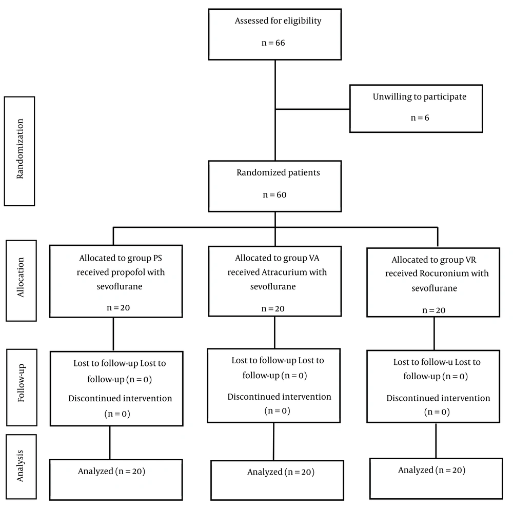 The study flowchart The study flowchart