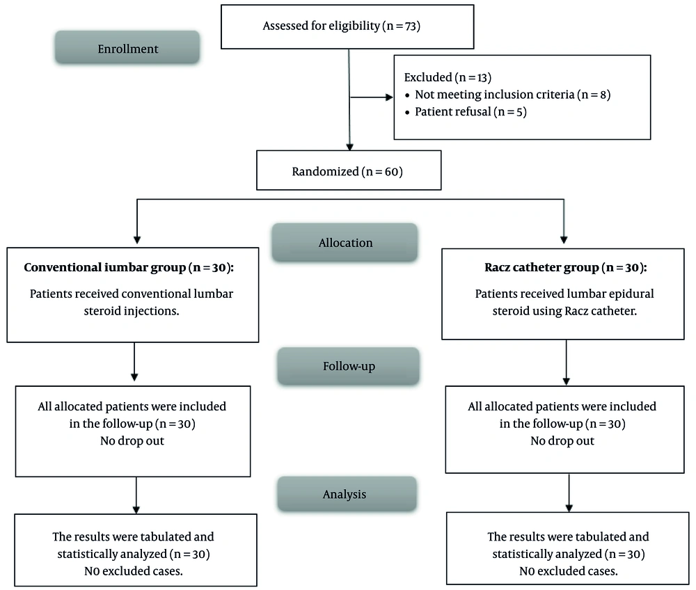 CONSORT flow chart of the enrolled patients CONSORT flow chart of the enrolled patients