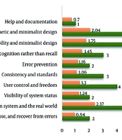 Telemedicine Solutions for Chronic Pain: Design, Implementation, and Evaluation of a Novel System