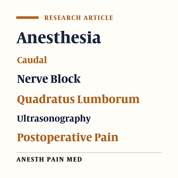 Analgesic Effect of Ultrasound-Guided Caudal Block Versus Quadratus Lumborum Plane Block in Lumbar Spine Surgery in Adult Patients: A Double-Blinded Prospective Comparative Study