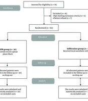 The Efficacy of Ultrasound-Guided Thoracic Erector Spinae Plane Block for Perioperative Analgesia During Laparoscopic Bariatric Surgery in Super-Obese Patients: A Randomized Controlled Trial