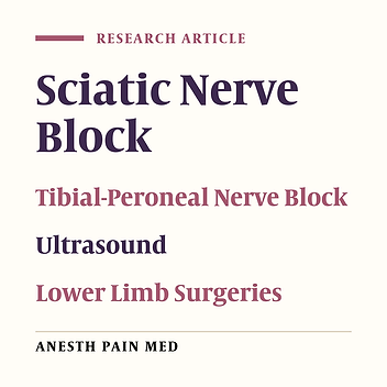 Which Ultrasound-Guided Sciatic Nerve Block Strategy Works Faster? Prebifurcation or Separate Tibial-Peroneal Nerve Block? A Randomized Clinical Trial