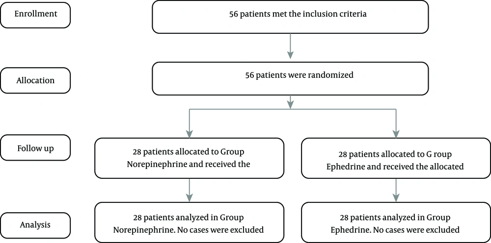 Flowchart of the study. Flowchart of the study.