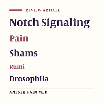 Meeting Between Rumi and Shams in Notch Signaling; Implications for Pain Management: A Narrative Review