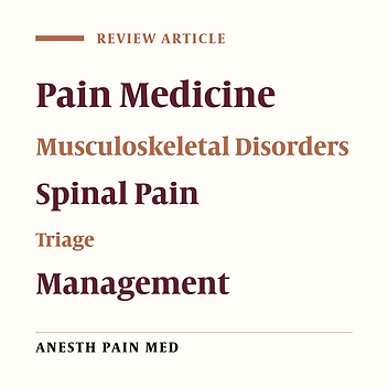 Musculoskeletal Disorders a Universal Source of Pain and Disability Misunderstood and Mismanaged: A Critical Analysis Based on the U.S. Model of Care