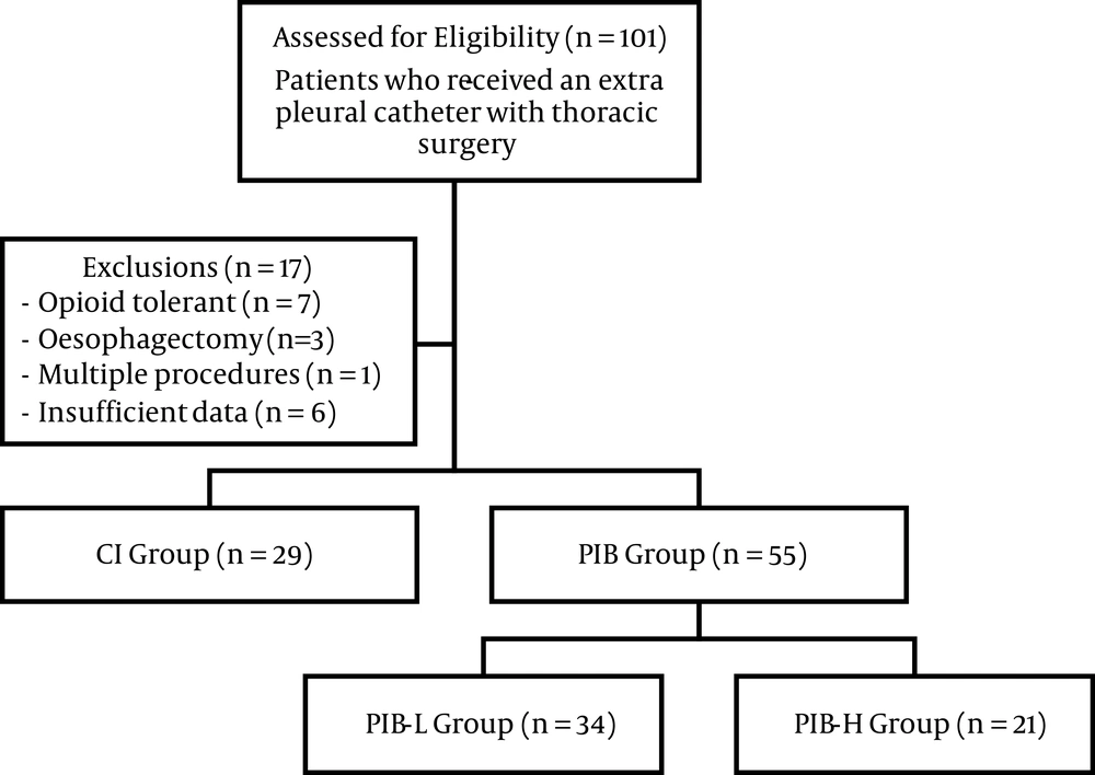 Flow chart of patient assessment, inclusions, and exclusions. POD: post-operative day; n: number; CI: continuous infusion, less than 10% of the total daily ropivacaine dose delivered as a bolus; PIB: programmed intermittent bolus, more than 10% of the total daily ropivacaine dose delivered as a bolus; PIB-L: low dose programmed intermittent bolus, 10% - 25% of the total daily ropivacaine dose delivered as a bolus; PIB-H: high dose programmed intermittent bolus, more than 25% of the total daily ropivacaine dose delivered as a bolus. Flow chart of patient assessment, inclusions, and exclusions. POD: post-operative day; n: number; CI: continuous infusion, less than 10% of the total daily ropivacaine dose delivered as a bolus; PIB: programmed intermittent bolus, more than 10% of the total daily ropivacaine dose delivered as a bolus; PIB-L: low dose programmed intermittent bolus, 10% - 25% of the total daily ropivacaine dose delivered as a bolus; PIB-H: high dose programmed intermittent bolus, more than 25% of the total daily ropivacaine dose delivered as a bolus.