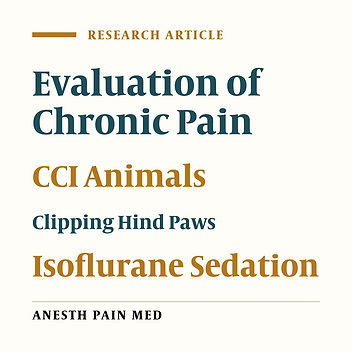 Clipping Hind Paws Under Isoflurane Sedation as a Useful Tool for Evaluation of Chronic Pain in CCI Animals