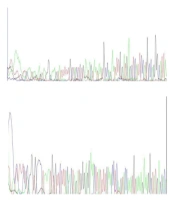 Molecular Genetic Analysis of Patients with Duchenne/Becker Muscular Dystrophy by Multiplex Ligation-Dependent Probe Amplification and Next-Generation Sequencing Techniques