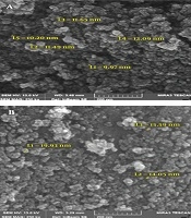 Coating Iron Oxide Nanoparticles with Chitosan for Targeted Delivery of Nanocurcumin