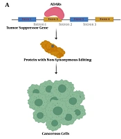 Cover image of the article: The Emerging Impact of RNA Editing in Tumor Growth and Metastasis