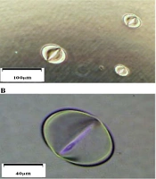 Cover image of the article: Chemical Safety Concerns of Sulfur Mustard Analog, 2-Chloroethyl Ethyl Sulfide, in Laboratory Study
