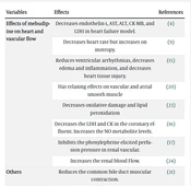 Mebudipine as an Overlooked Cardioprotective Drug: A Review Study