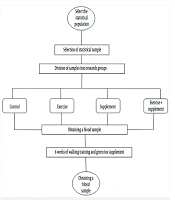 The Effect of 8 Weeks of Walking and Green Tea Supplementation on Blood Pressure and Uric Acid Levels of Inactive Male Students