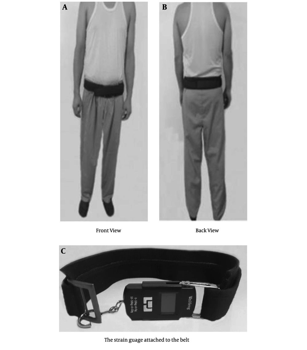 The pelvic belt and strain gauge position The pelvic belt and strain gauge position