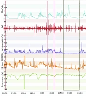 Cover image of the article: Healthy Aging Guided by Circadian Rhythm Monitoring Using a Smartwatch-Like Device