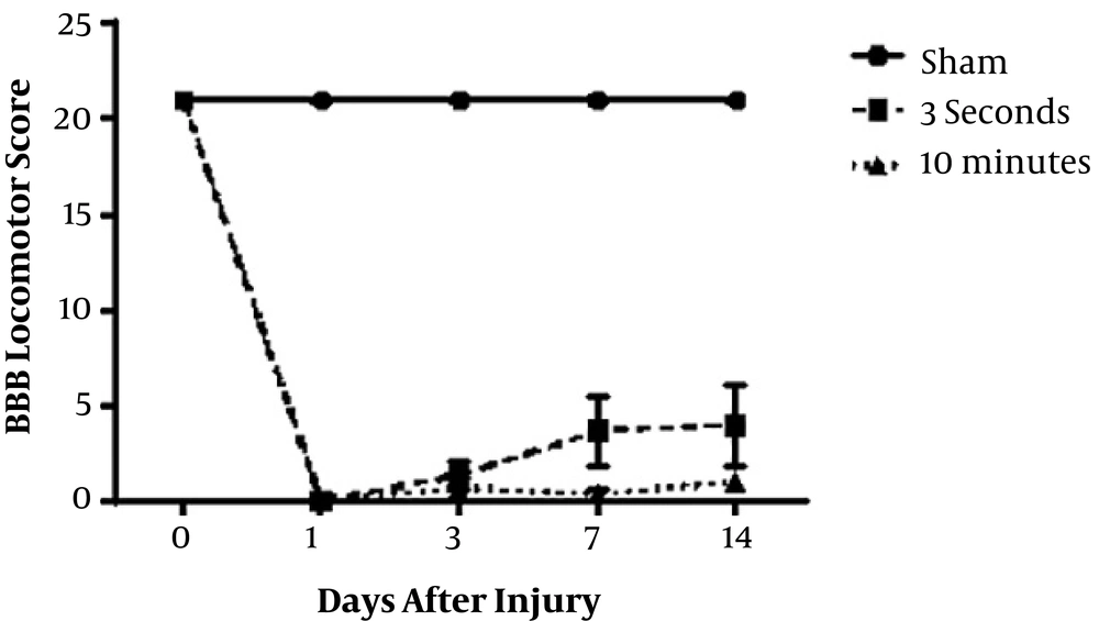 Locomotion function was compared in 3-seconds and 10-minutes spinal cord compression groups according to the Basso, Beattie, and Bresnahan (BBB) score. After injury, hind-limb locomotion was lost in all animals in both groups. Spontaneous improvement in locomotor function has been started in 3-second compression group three days after decompression (n = 3). Locomotion function was compared in 3-seconds and 10-minutes spinal cord compression groups according to the Basso, Beattie, and Bresnahan (BBB) score. After injury, hind-limb locomotion was lost in all animals in both groups. Spontaneous improvement in locomotor function has been started in 3-second compression group three days after decompression (n = 3).
