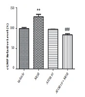 The Expression and Function of Nitric Oxide Synthase Enzyme in Atorvastatin Effects on Morphine-Induced Dependence in Mice