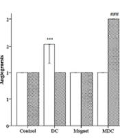 Effect of Magnetohydrodynamic on Cutaneous Wound Healing in Rat Model