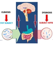 Regulation of Intestinal Microbiota as a Therapeutic Target for Neuroinflammatory Diseases in Persistent COVID