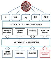 Oxidative Stress Derived from COVID-19 and Its Possible Association with the Development of Neurodegenerative Diseases