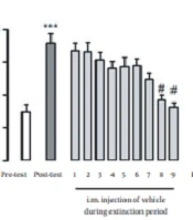 Effect of Testosterone on the Extinction Period of Morphine-induced CPP in Male Rats