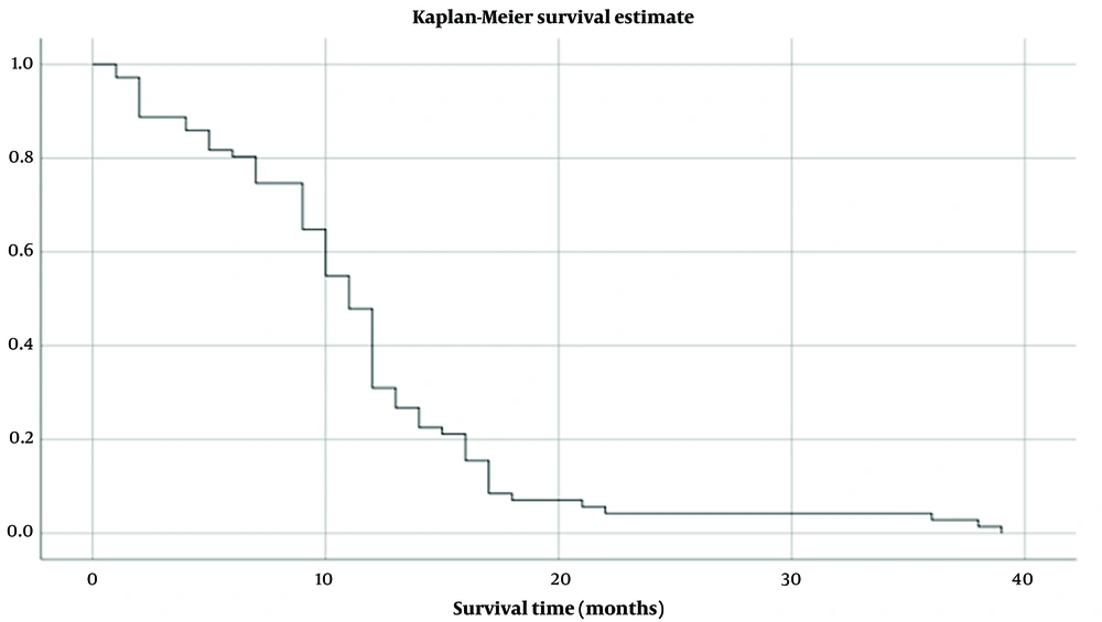 Survival curve of GBM (months) Survival curve of GBM (months)