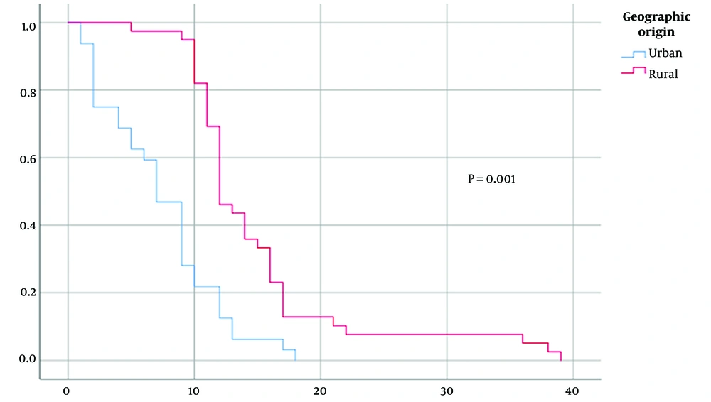 Overall survival is stratified by the geographical origin of the patients. Kaplan-Meier curves are shown for overall survival separated by geographic origin. Overall survival is stratified by the geographical origin of the patients. Kaplan-Meier curves are shown for overall survival separated by geographic origin.
