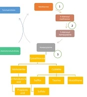 Arch Neurosci