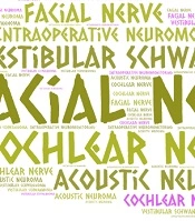 Facial and Cochlear Nerves Outcomes in the Surgical Resection of Giant Vestibular Schwannoma: Is There Any Predictive Value for Intraoperative Neuromonitoring of the Facial Nerve?