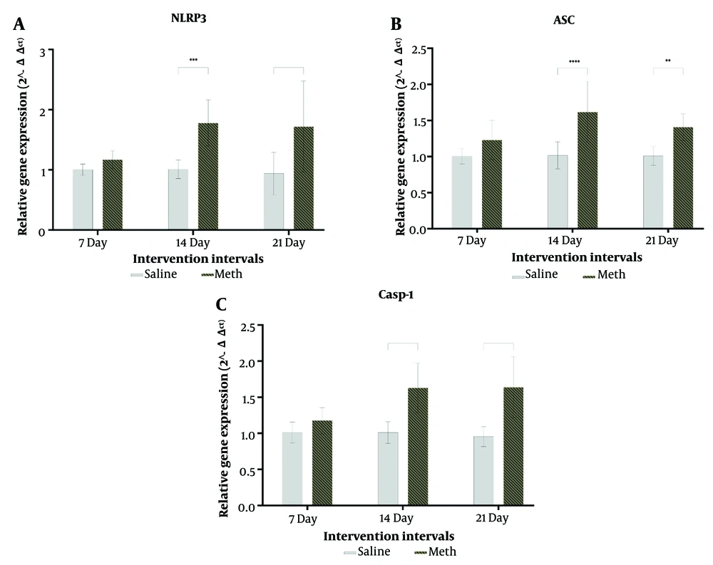 A, effects of daily methamphetamine (5 mg/kg) or saline (200 µL) administration for 1, 2, and 3 weeks on the NLRP3 mRNA gene expression; B, effects of daily methamphetamine (5 mg/kg) or saline (200 µL) administration for 1, 2, and 3 weeks on the ASC mRNA gene expression; C, effects of daily methamphetamine (5 mg/kg) or saline (200 µL) administration for 1, 2, and 3 weeks on the caspase-1 mRNA gene expression (mean ± SEM, N = 21, ** P ≤ 0.01; *** P ≤ 0.001; **** P ≤ 0.0001, unpaired <i>t</i>-test). A, effects of daily methamphetamine (5 mg/kg) or saline (200 µL) administration for 1, 2, and 3 weeks on the NLRP3 mRNA gene expression; B, effects of daily methamphetamine (5 mg/kg) or saline (200 µL) administration for 1, 2, and 3 weeks on the ASC mRNA gene expression; C, effects of daily methamphetamine (5 mg/kg) or saline (200 µL) administration for 1, 2, and 3 weeks on the caspase-1 mRNA gene expression (mean ± SEM, N = 21, ** P ≤ 0.01; *** P ≤ 0.001; **** P ≤ 0.0001, unpaired <i>t</i>-test).