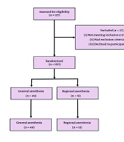 Regional Versus General Anesthesia for Spinal Surgery: A Randomized Controlled Trial Comparing Clinical Outcomes