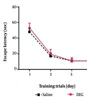 Effects of Diethylene Glycol on Cognitive Abilities in Rats